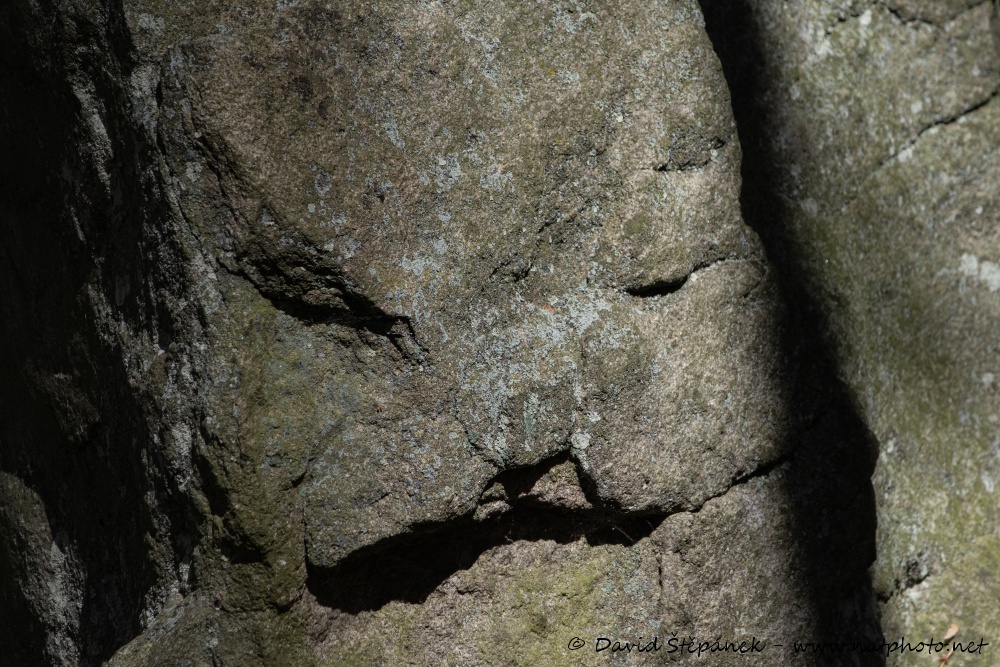 Menhir u Knína