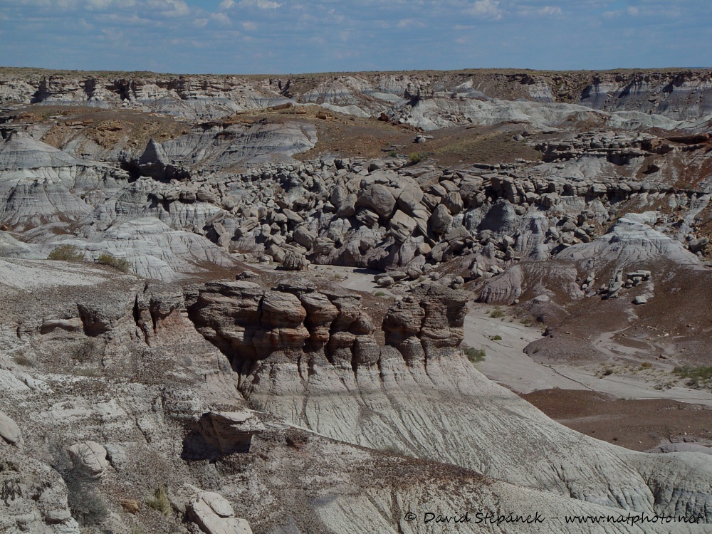 Petrified Forest NP