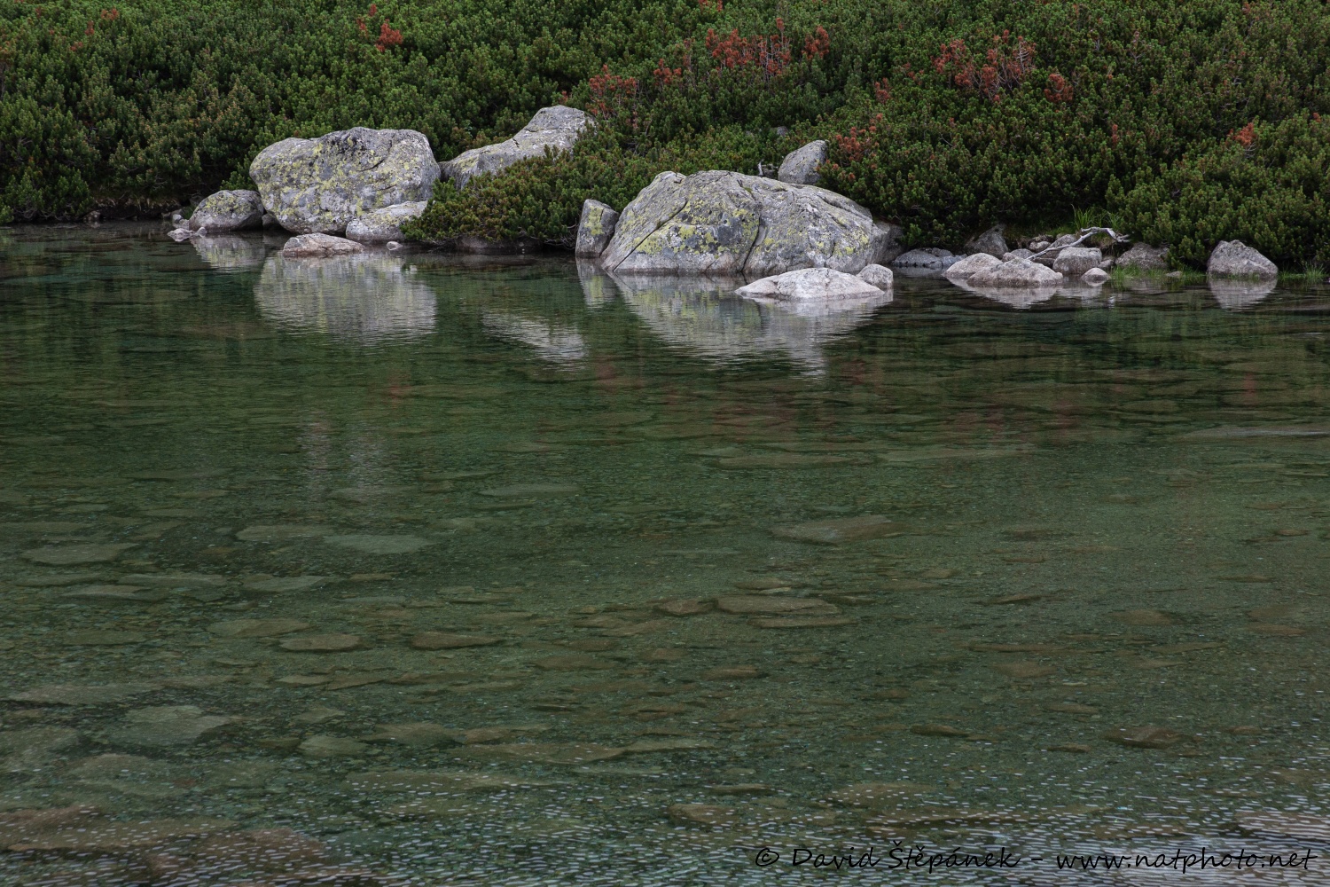 Skalnaté pleso