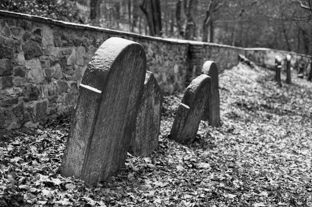 Židovský hřbitov Hostomice