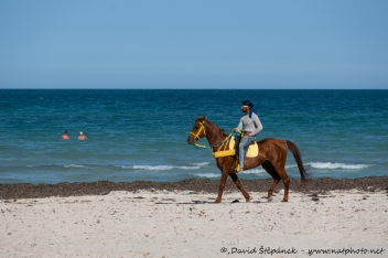 Djerba