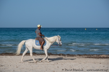 Djerba