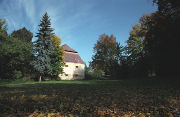 Jetřichovice - zámecký park