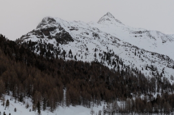 Steinschlagspitze 2.861m